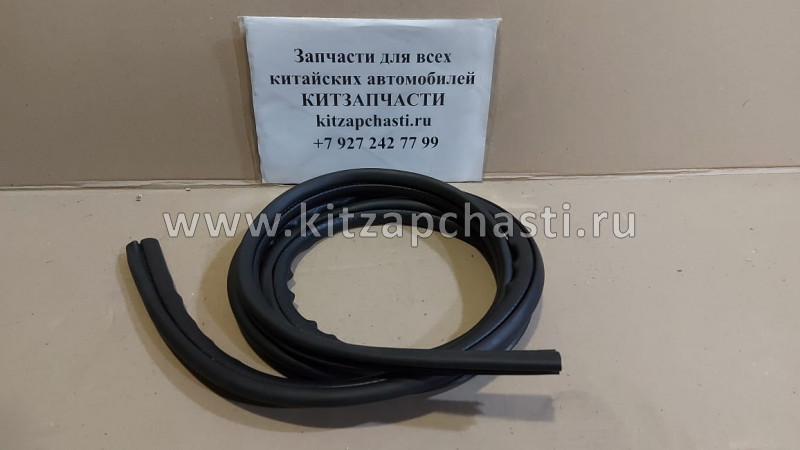 Уплотнитель задней левой двери FAW Besturn B50 FA0173760